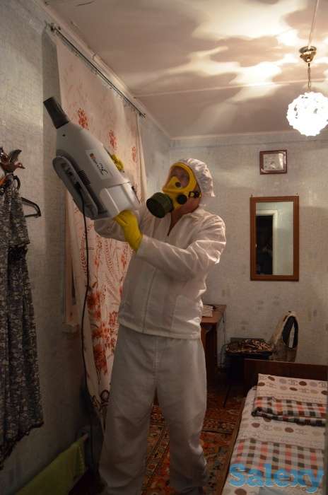 Дезинфекция от клопов и насекомых! Гарантия и Скидки!, фотография 2