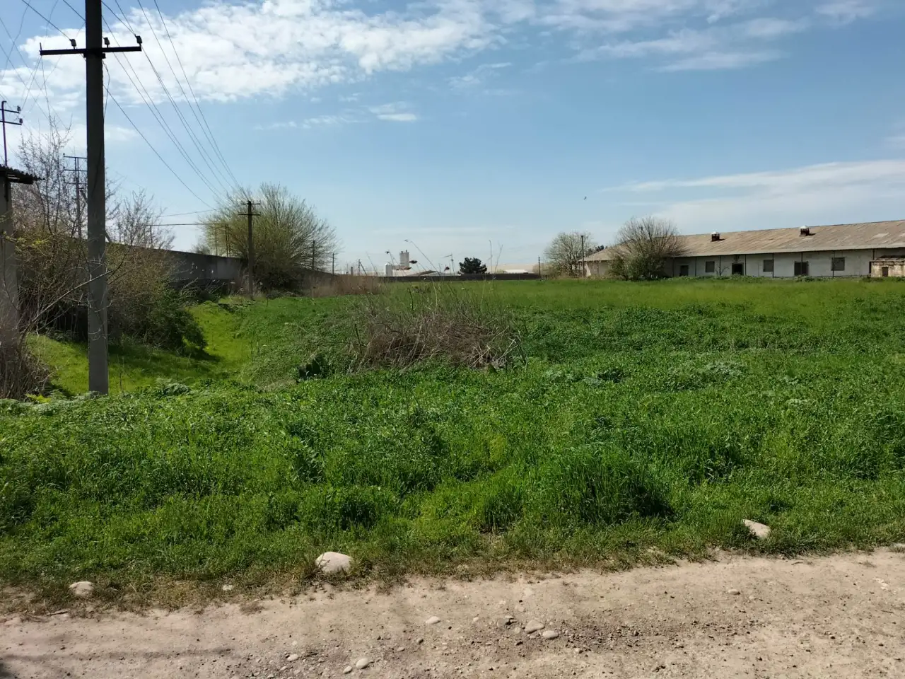 10 га Новый Ташкент, фотография 2