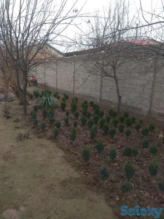 zudlik bilan sotiladi kvartira 2/9/9 Buyuk Ipak yo'li panel срочно продаётся дом дом, фотография 13