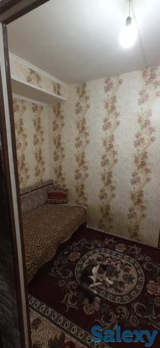 Продаётся однокомнатная квартира в бывшем общежитии, фотография 3
