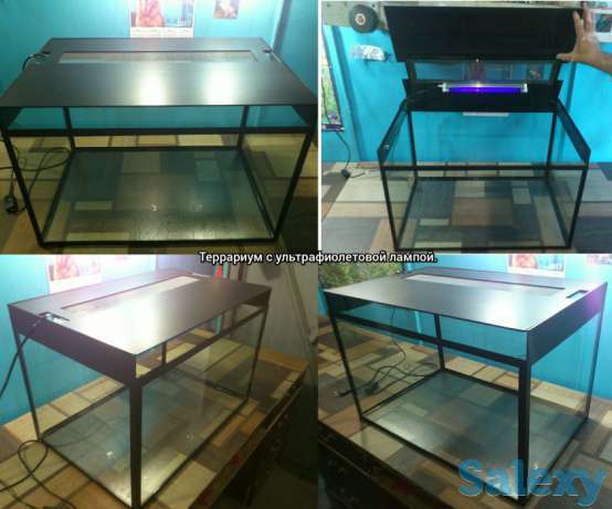 Террариум с ультрафиолетовой лампой., фотография 1