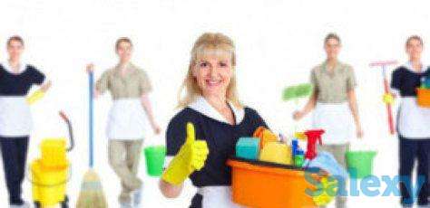 Special cleaning service подбор домашнего персонала, фотография 3