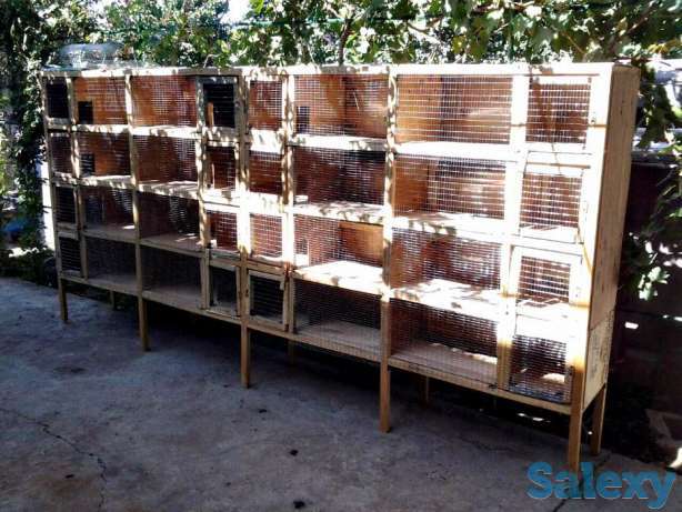Клетки с маточником для одиночного содержания 16 кролик, фотография 1