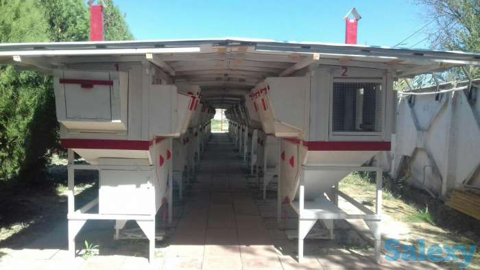 Кролиководство, фотография 1