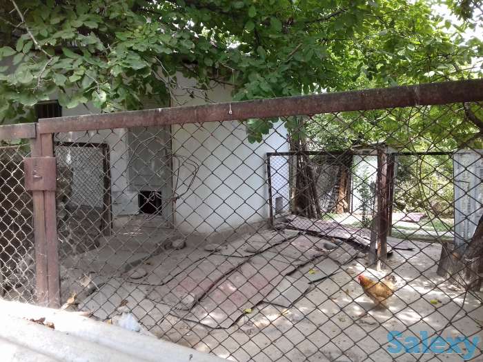 продам  дом 70м2 на 6.5 соток в кибрайском р-не п .ГЭСкадырья, фотография 11