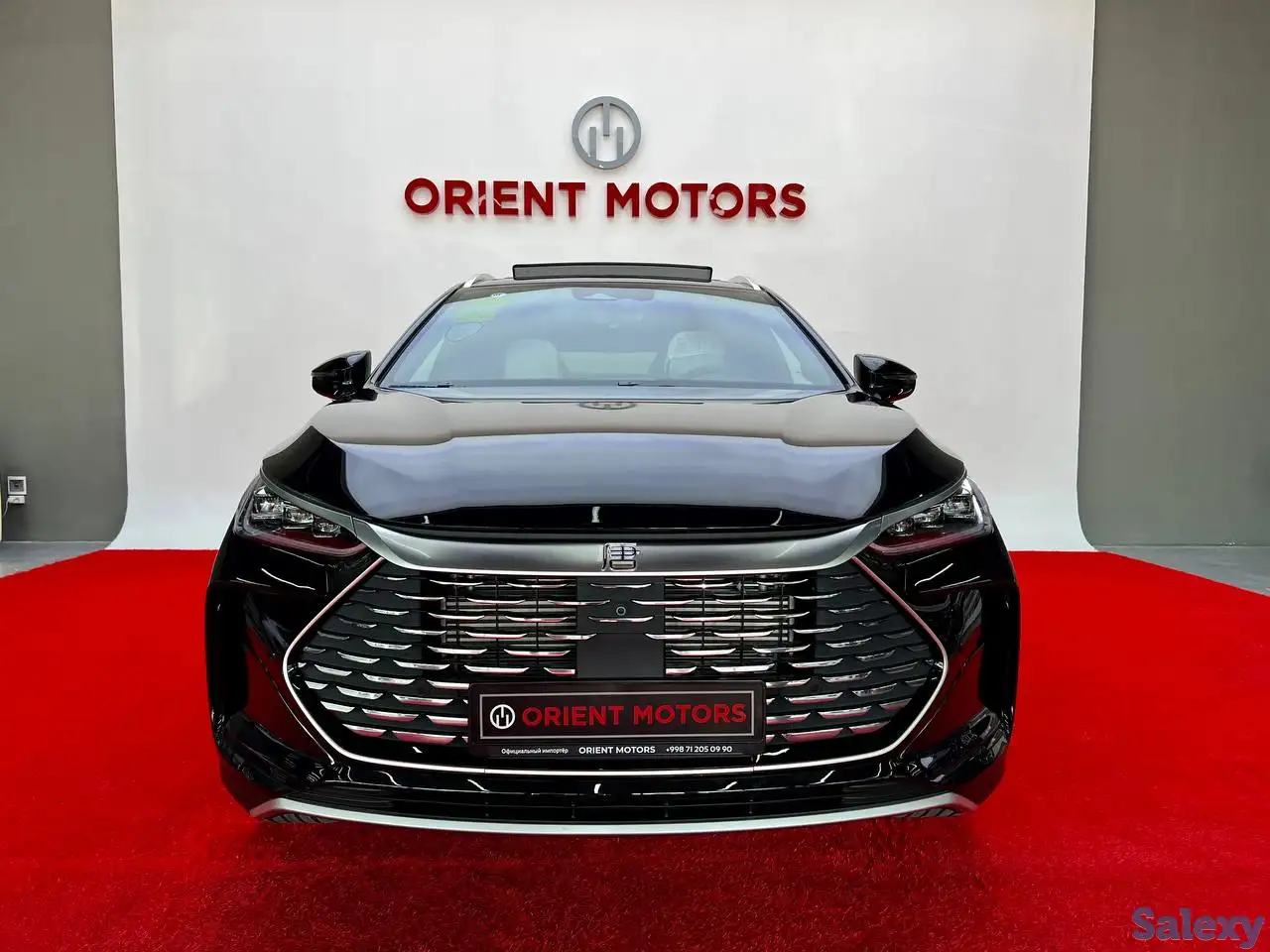 BYD TANG 1.5 CVT DM-P, фотография 1