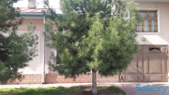 продается, Яккасарайский район, фотография 8