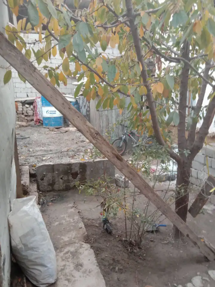 дом в яшнобатском районе, фотография 2