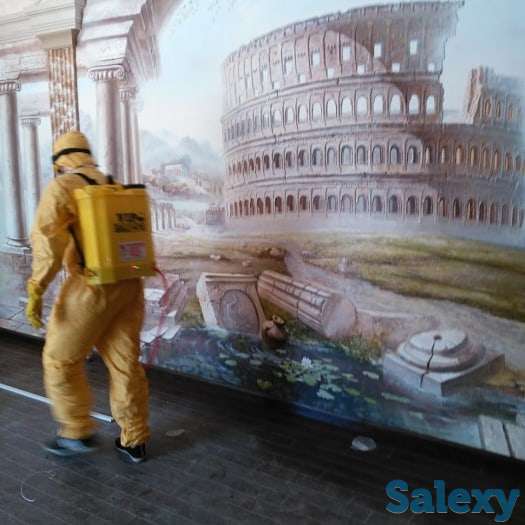 Дезинфекция от насекомых, фотография 7