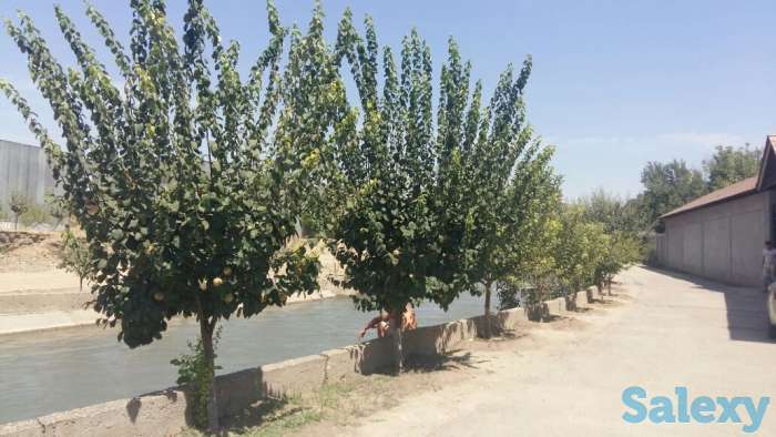 Продам дом с участком в ташкенте, срочно!, байсунская ул., д.7, фотография 11