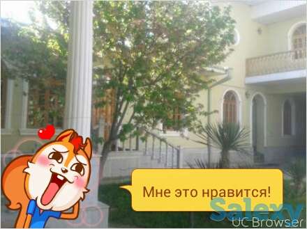 УЙ.Участок, Яшнабадский р-н,массив Янгиабад, фотография 2