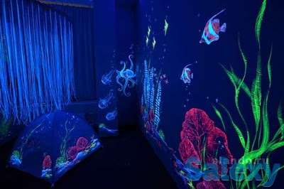 Готовая светящаяся в темноте краска Нокстон, фотография 4