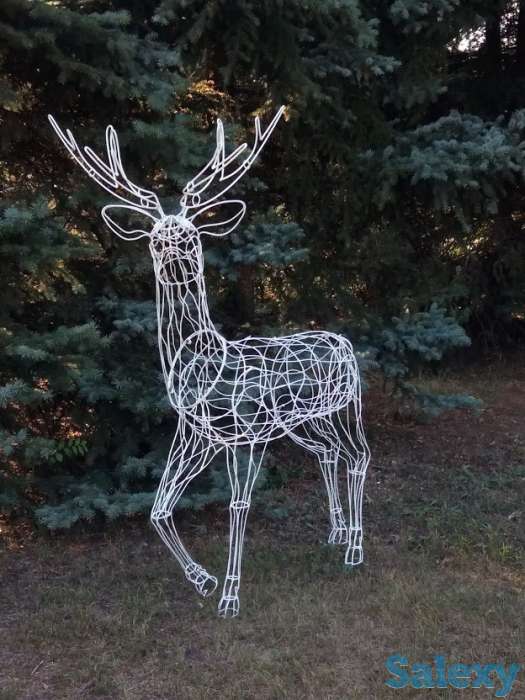 Иллюминация и профеcсиональное освещение зданий., фотография 1