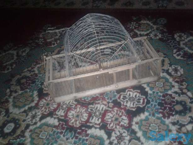 Sava uchun chertma qafas. Клетка, фотография 1