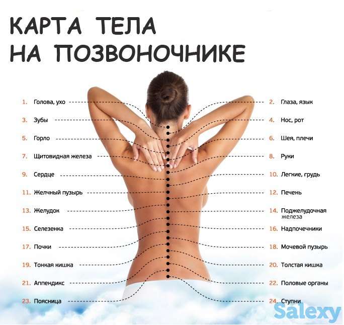 Мануальная терапия. Лечение по позвоночнику., фотография 1