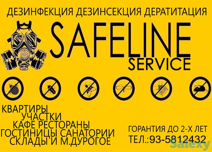 Dezinfeksiya Дезинфекция клопы тараканы блохи комары мухи крысы мыши, фотография 1