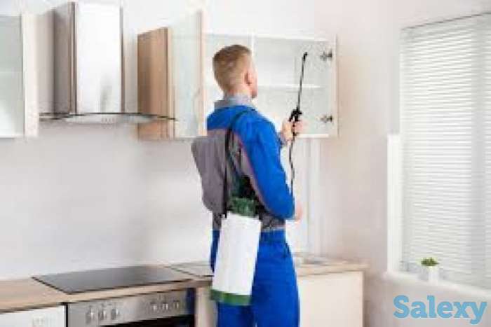 Дезинфекция со скидками.20%, фотография 2