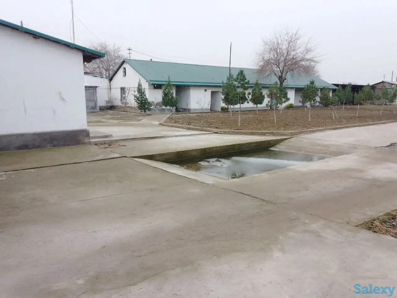 Ферма сотилади, область, Янгиюльский район, фотография 7