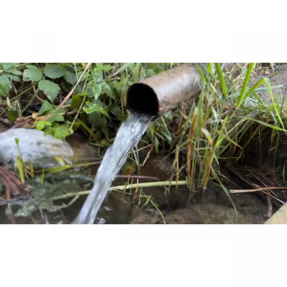 Бывший пионерский лагерь, Краснагорск, фотография 4