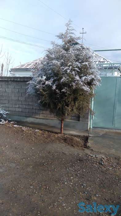 Продаётся дом., Г, фотография 6