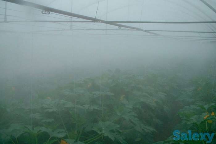 Микроклимат, фотография 2