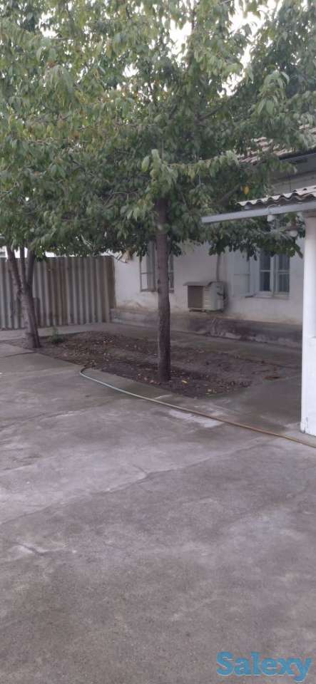 Участок,дом, Таш.обл, фотография 8