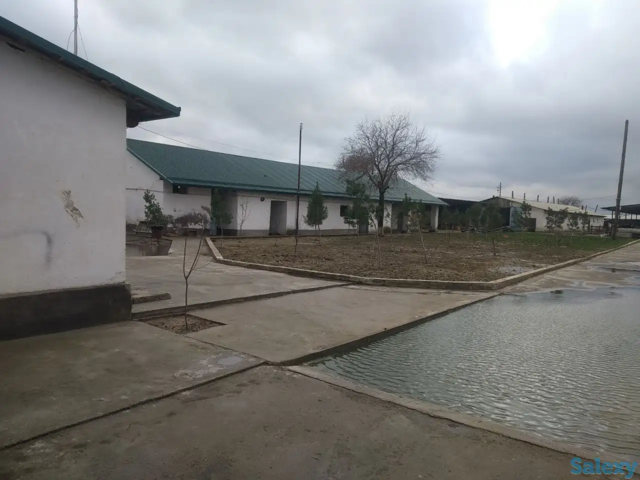 Ферма сотилади, область, Янгиюльский район, фотография 2