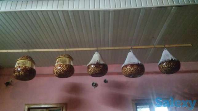 Бедана бедана ковок, фотография 1