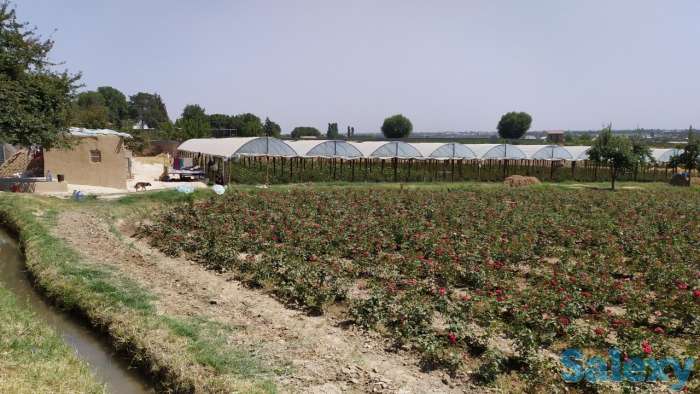 Продажа место для теплиц, фотография 1