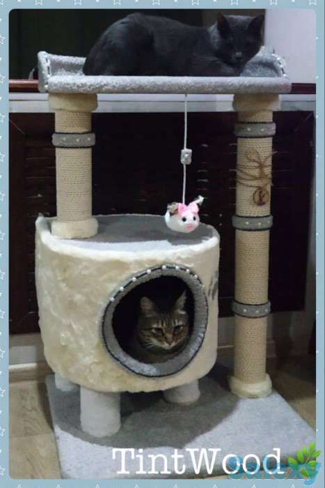Когтеточка для кошки. Игровой комплекс для кошки. Дом для кошки., фотография 4