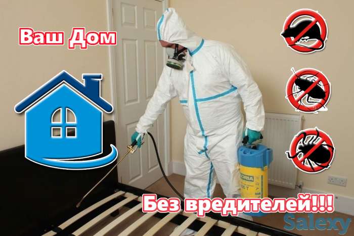 дезинфекция, фотография 1