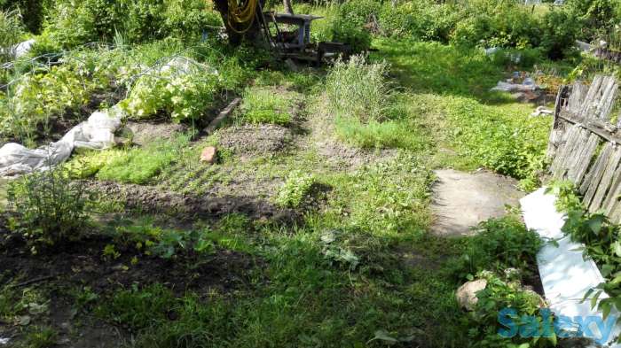 Срочно обмен 3-х комн. Подмосковье на 3-х или 4-х комн. Ташкент, фотография 9