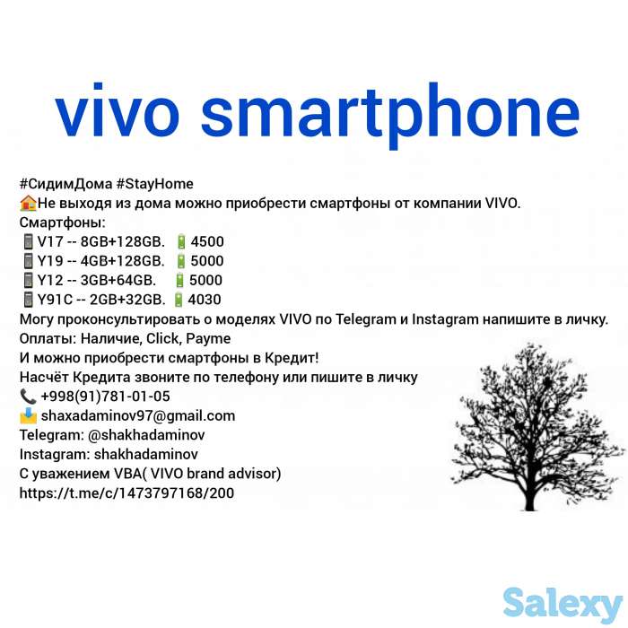 vivo smartphone, фотография 2