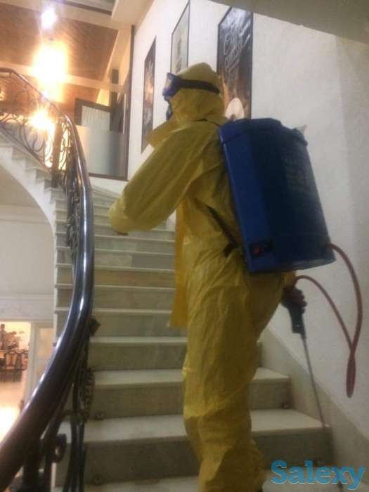 Дезинфекция от насекомых, фотография 1