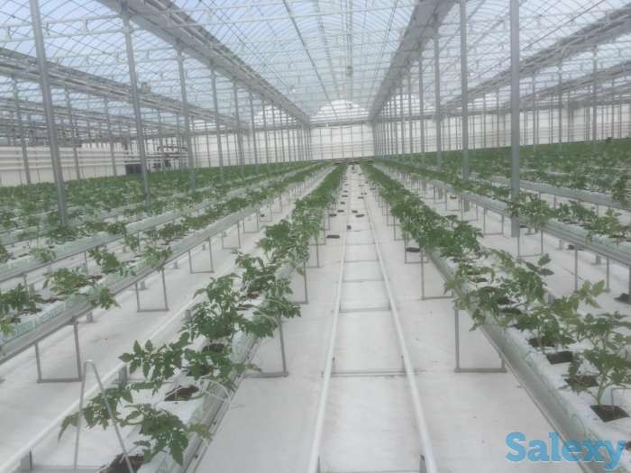 МОНТАЖ КОРЕЙСКИХ ТЕПЛИЦ ПОД КЛЮЧ, фотография 1