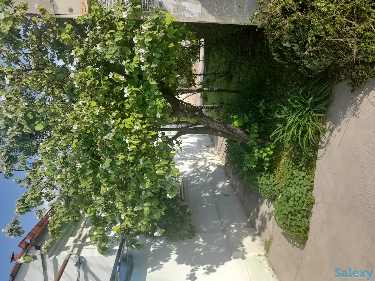 Продается дом в элитной махалле, Юнус-Абадский район , ул. Акмаля Пулата 56, фотография 1