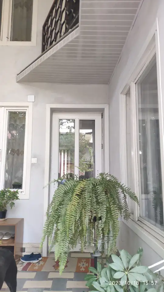 Сдается комната, Шайхантохурский район, 4-ый проезд Улугбека, дом 9., фотография 3