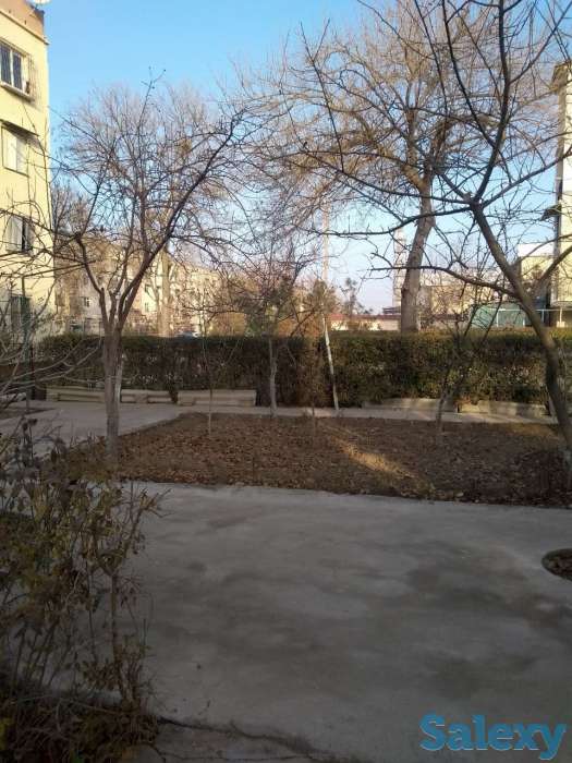 Продается 3-х комнатная квартира с евроремонтом, двориком и подвалом, фотография 7