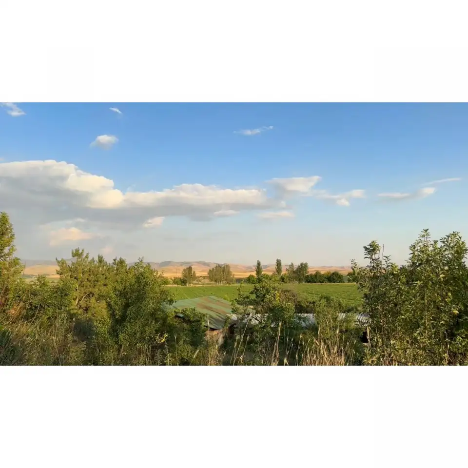 Бывший пионерский лагерь, Краснагорск, фотография 3