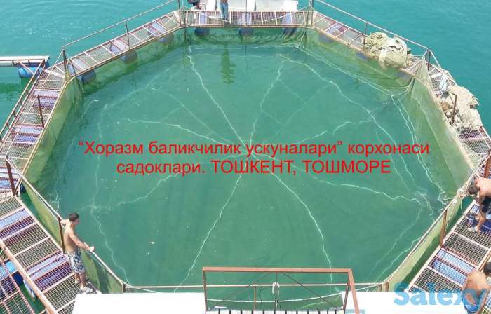 Рыбоводство, садок, бредень, мережа на заказ, фотография 5