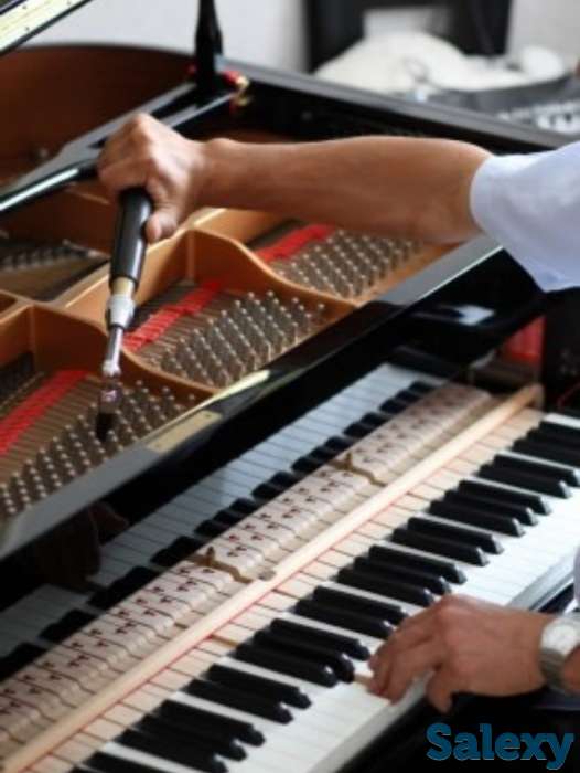 Профессиональная настройка фортепиано (пианино и рояли), настройщик, фотография 1