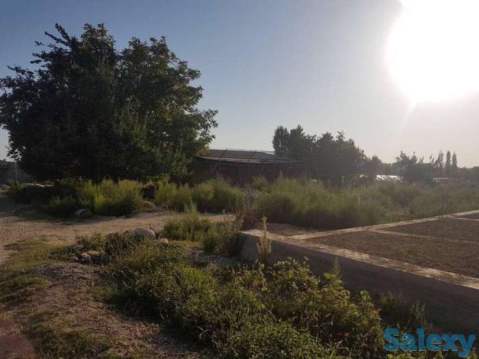 Земельный участок, район, пос.Халкабад, махала Ватан, фотография 3