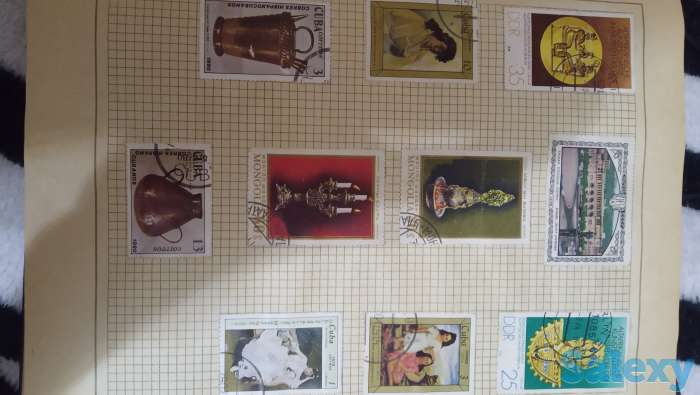 Маркигг., фотография 1