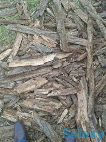 Продам Кору карагача, фотография 1