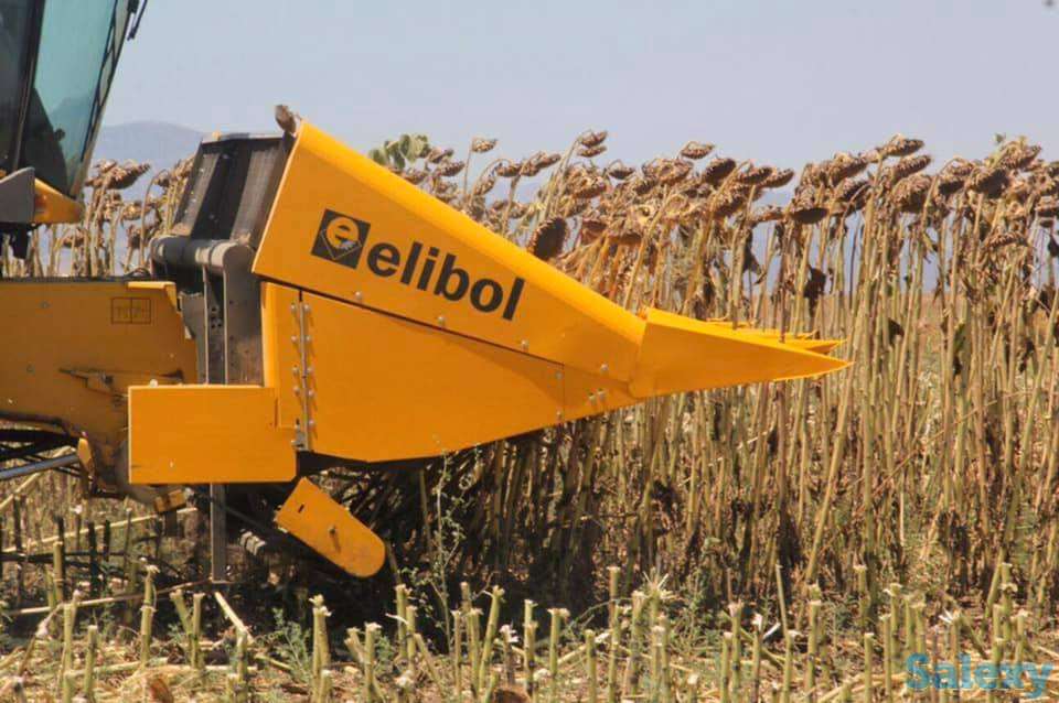 Жатка для уборки подсолнечника Elibol Freesun 550 на комбайн, фотография 3