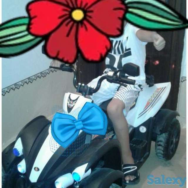 Квадрацикл, фотография 2