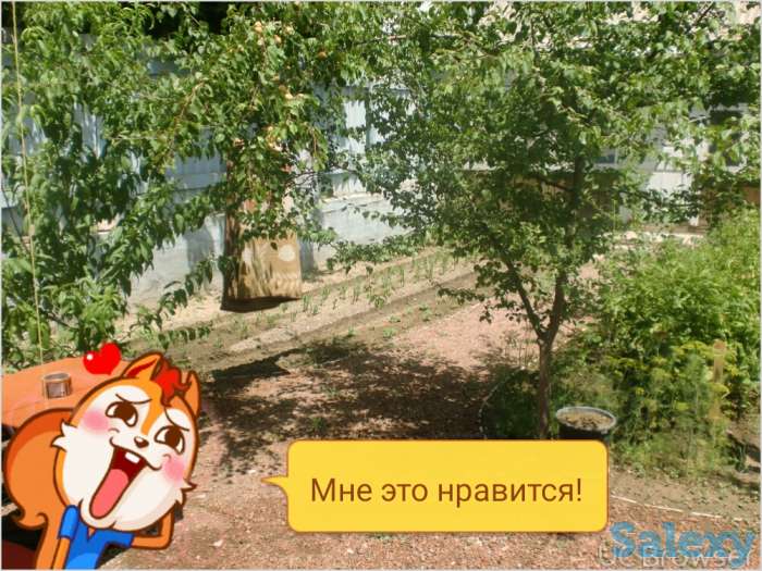 Продается два участка в Гулестане, фотография 8