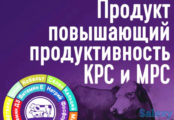 Надёжная защита здоровья быков, коров и овец, фотография 3