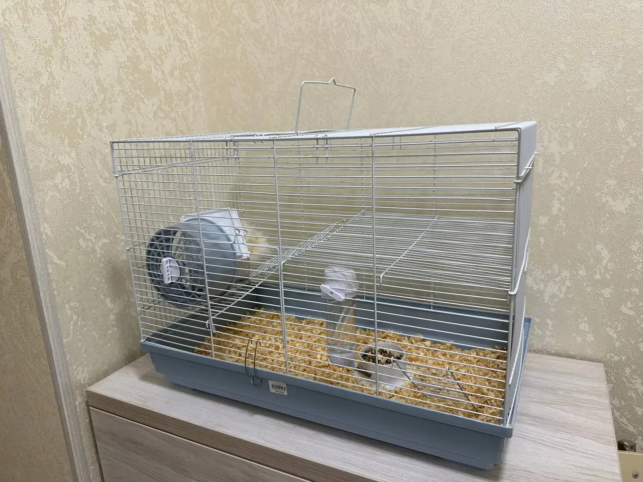 Продается хомяк, фотография 7