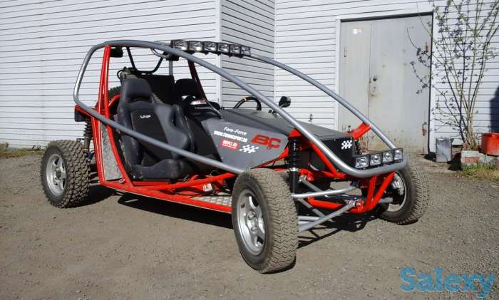 Багги спортивные на заказ., фотография 3